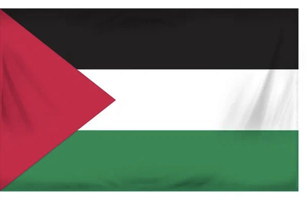Флаг Палестины 60х90 см #1