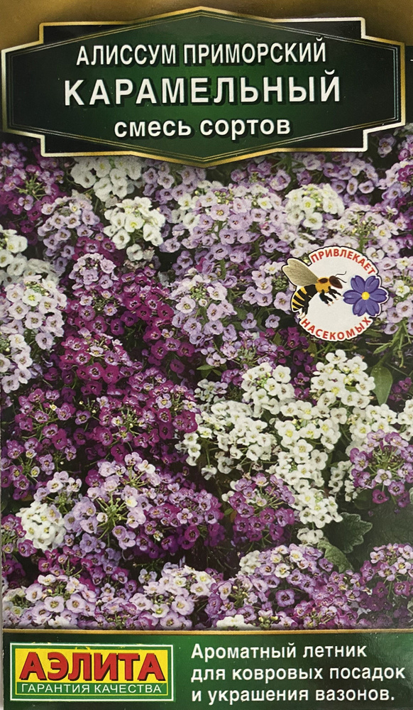 Алиссумы Агрофирма Аэлита Алиссум приморский Карамельный смесь сортов ...