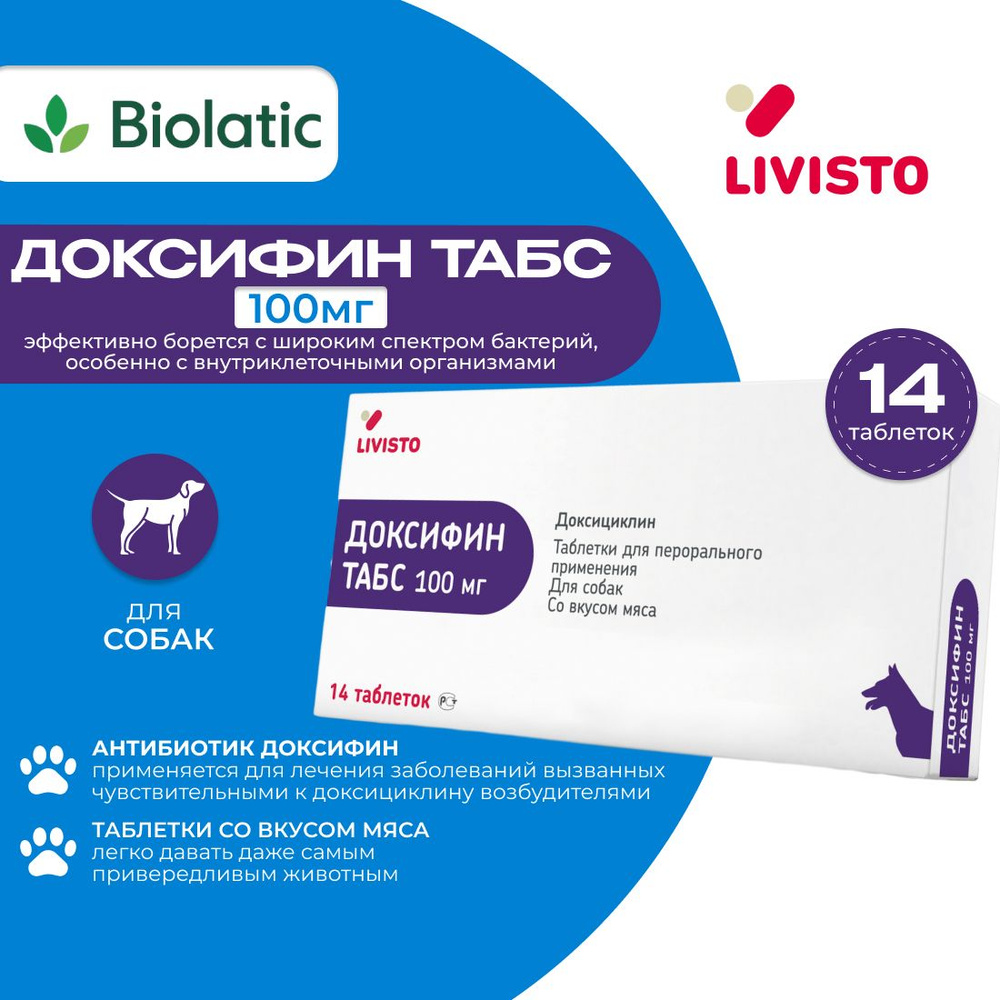 Доксифин табс 100 мг таблетки, 14 шт. (вет) - купить с доставкой по  выгодным ценам в интернет-магазине OZON (726451294)