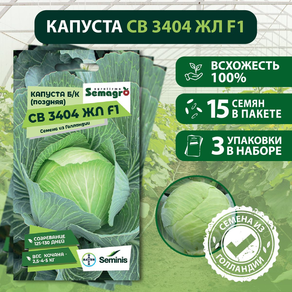 Семена Капуста белокочанная поздняя (для хранения) СВ 3404 ЖЛ F1 SEMINIS, 3  пакета, (15 семян в одном пакете), Голландия