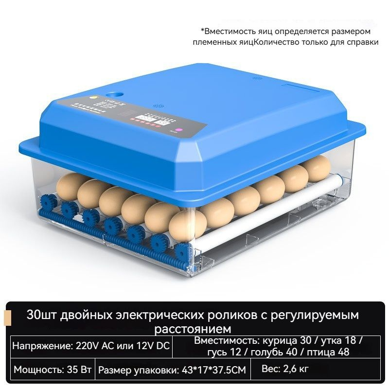 Бытовой небольшой инкубатор для вылупления цыплят, обычных цыплят ...