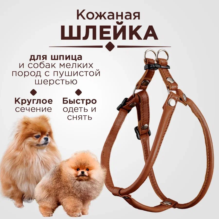 Шлейка для шпица круглая кожаная, шлейка для пушистых собак мелких ...