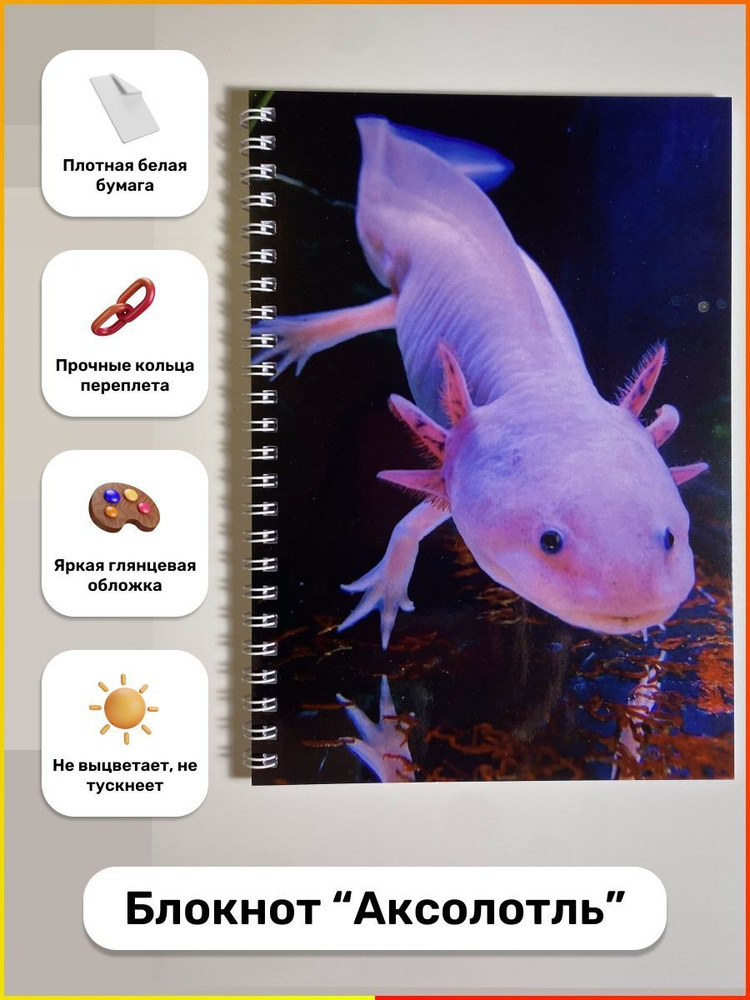  Блокнот A5, листов: 50 #1