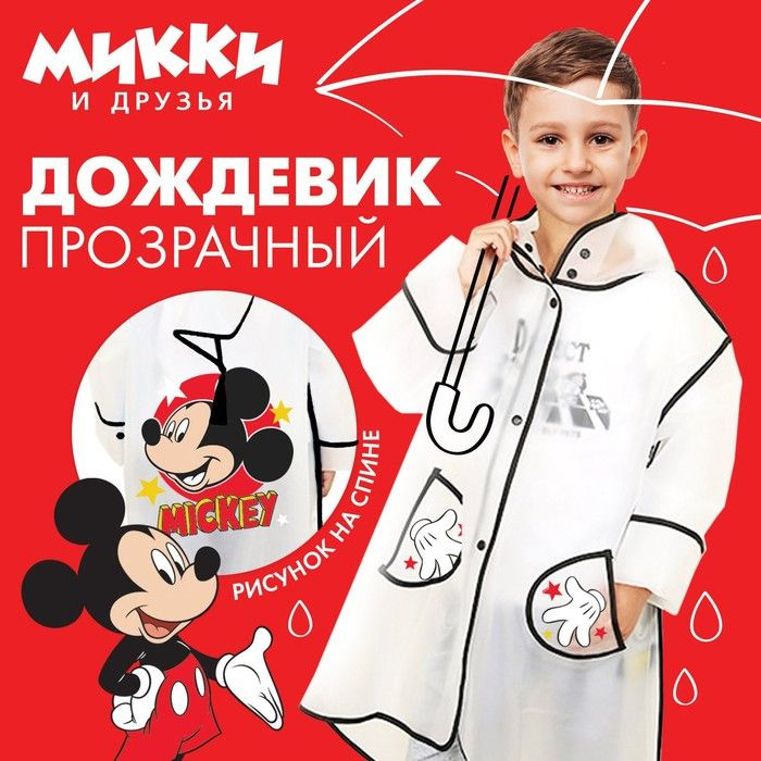 Дождевик Disney #1