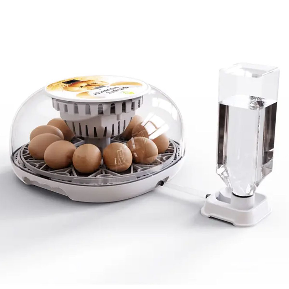 Инкубатор HHD 12 Wonegg мини автоматический для перепелов и цыплят на ...