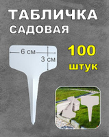 Купить тюльпаны в Минске недорого. Заказать тюльпаны с доставкой на дом