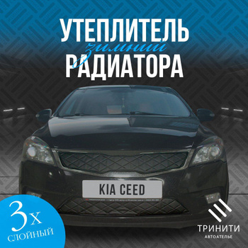 Заглушка на радиаторную решетку на KIA Rio