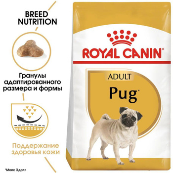 Royal canin best sale pug junior