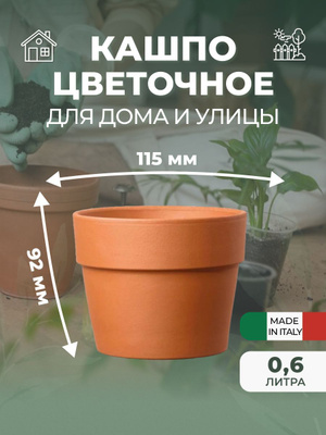 obst und gemüse im blumenkasten Bio Obst- & Gemüsekiste kaufen – Frisch & Saisonal main image 1