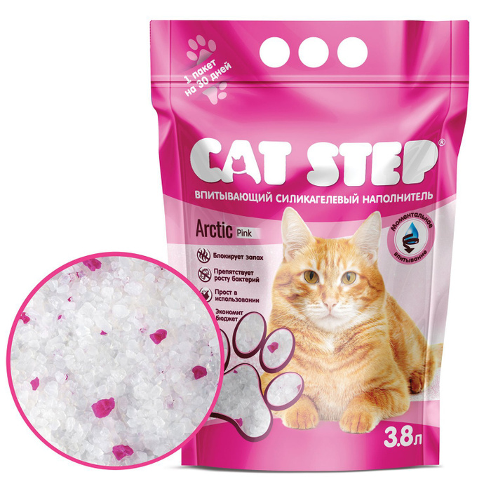 Cat step Cat step