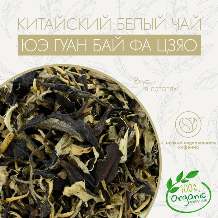 Настоящий Китайский Белый Чай Юэ Гуан Бай Фа Цзяо(Беый Лунный Свет ...