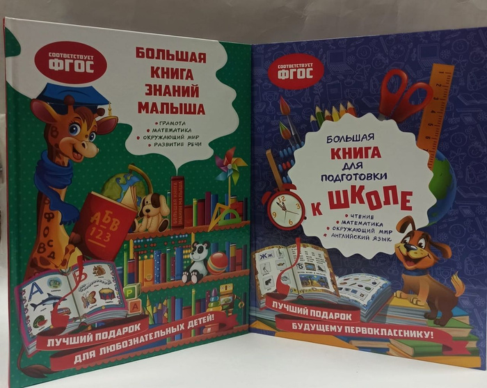 Серия "Большая книга первых знаний. ФГОС" (комплект из 2 книг ...