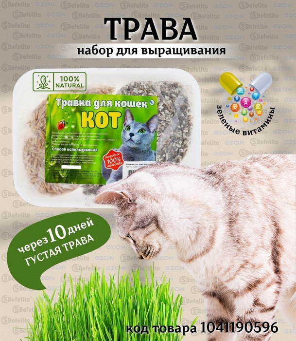 Трава в лотке для кошек, собак, птиц, грызунов и других животных ...