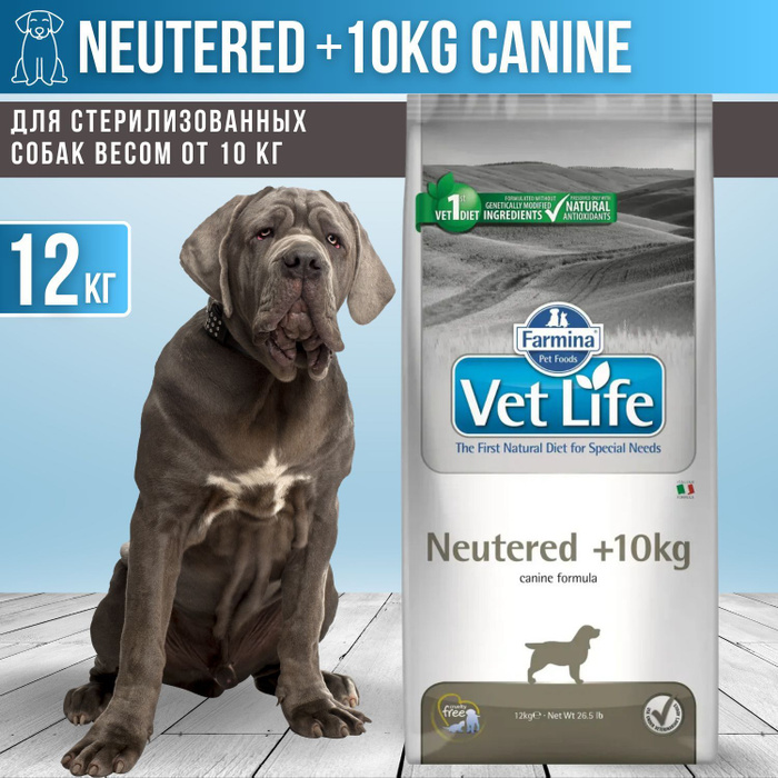 Vet life neutered 10