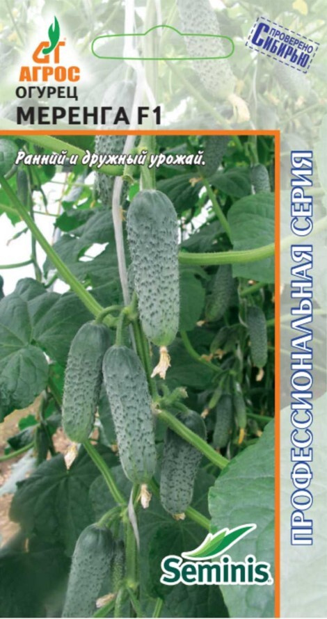 Огурец Цитрон: описание, уход и выращивание