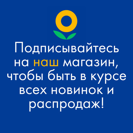 Текст при отключенной в браузере загрузке изображений