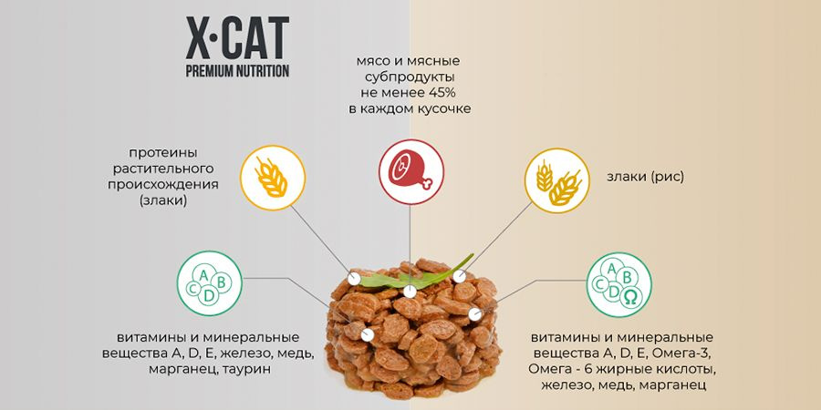 Текстовое описание изображения