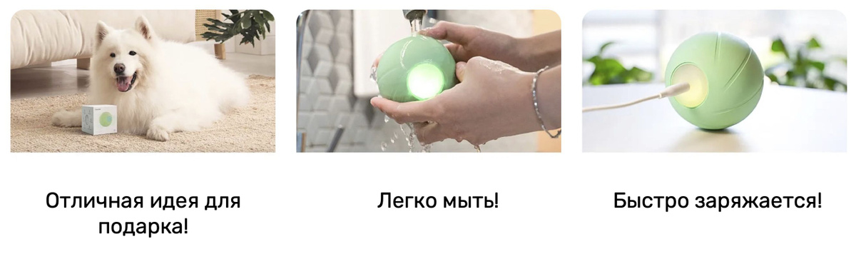 Текстовое описание изображения
