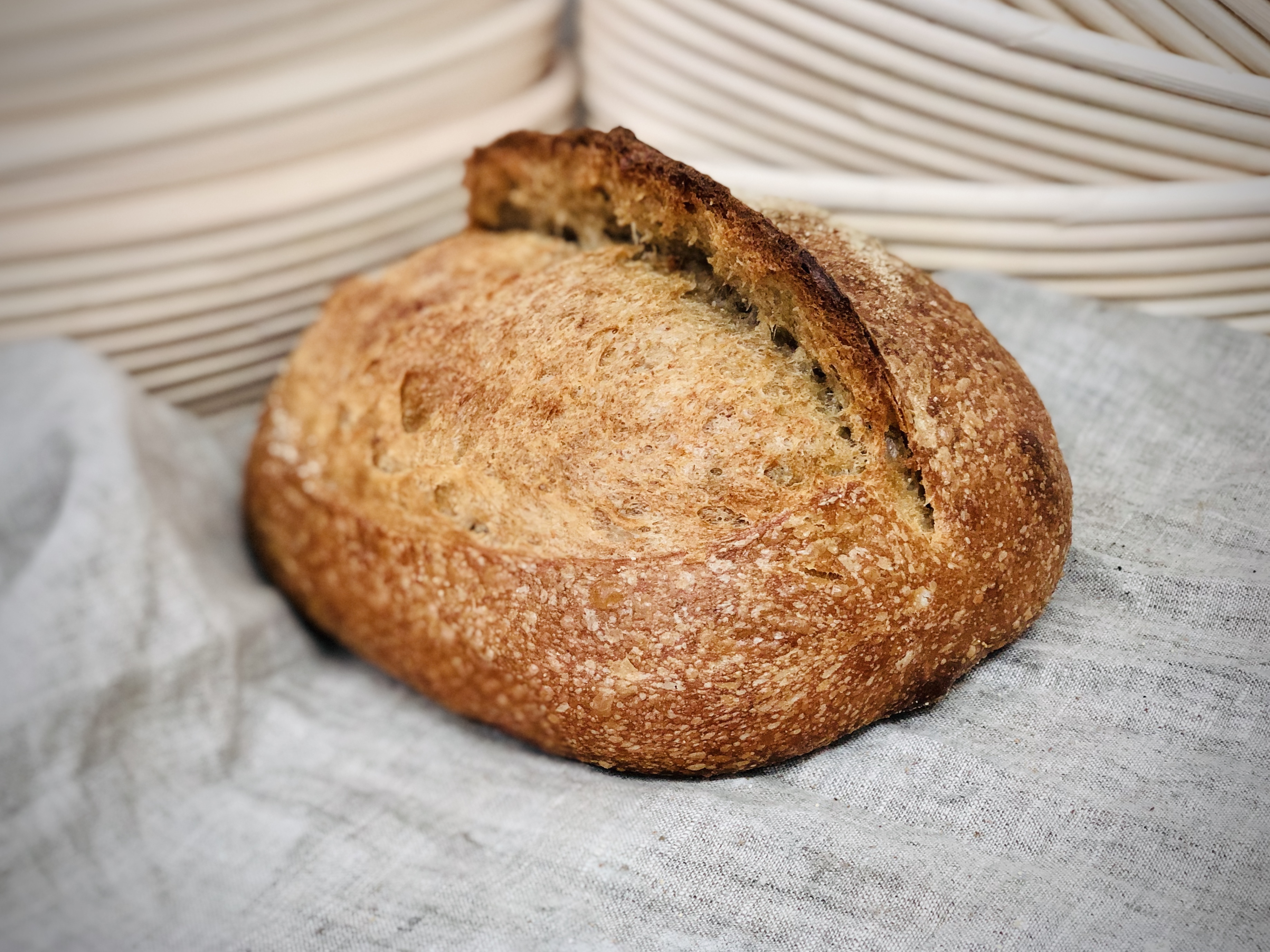 Виды Хлеба. Часть 3 Виды Хлеба. Часть 3 ржаной, хлеба, несколько, температуре, Состав, ржаная, сорта, дрожжи, обойной, Финляндии, патока, Пумперникель, прессованные, выпечки, обдирной, хлебу, такой, время, Падерборнский, добавлением