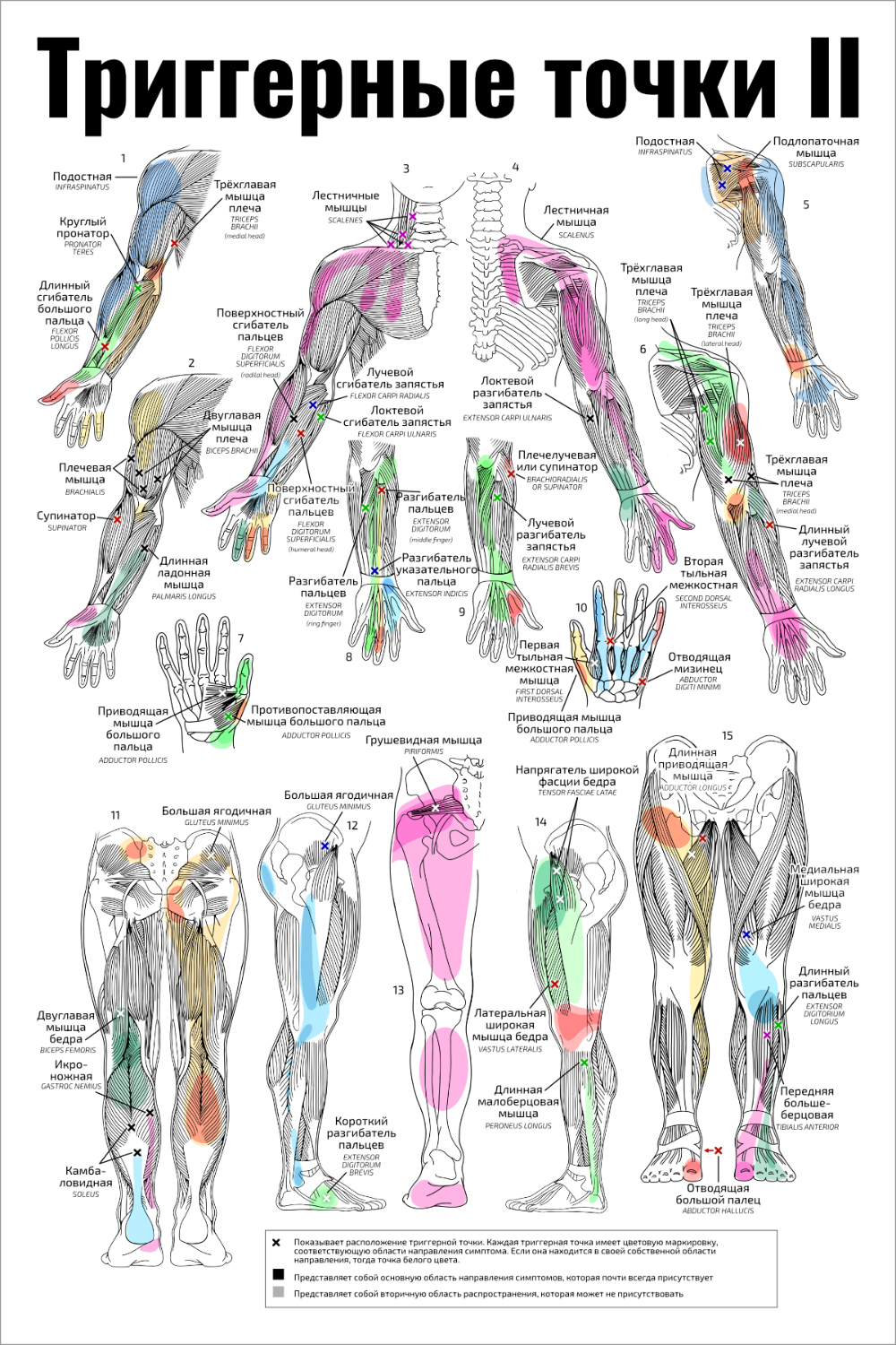 Joja klitorini silaydi Kosmetikada gidroksitronellal nima?