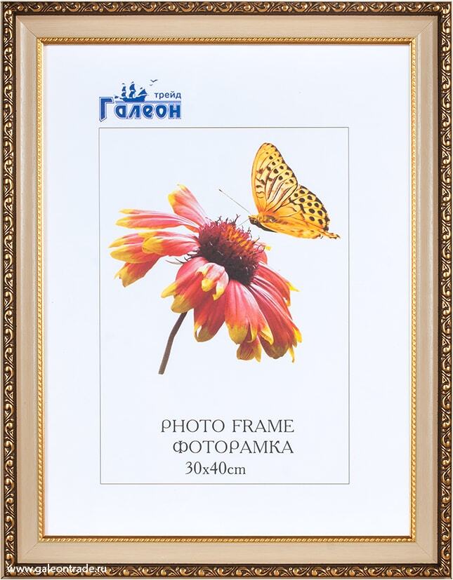 Фоторамка пластиковая 30 х 40 см, бежевая с золотом