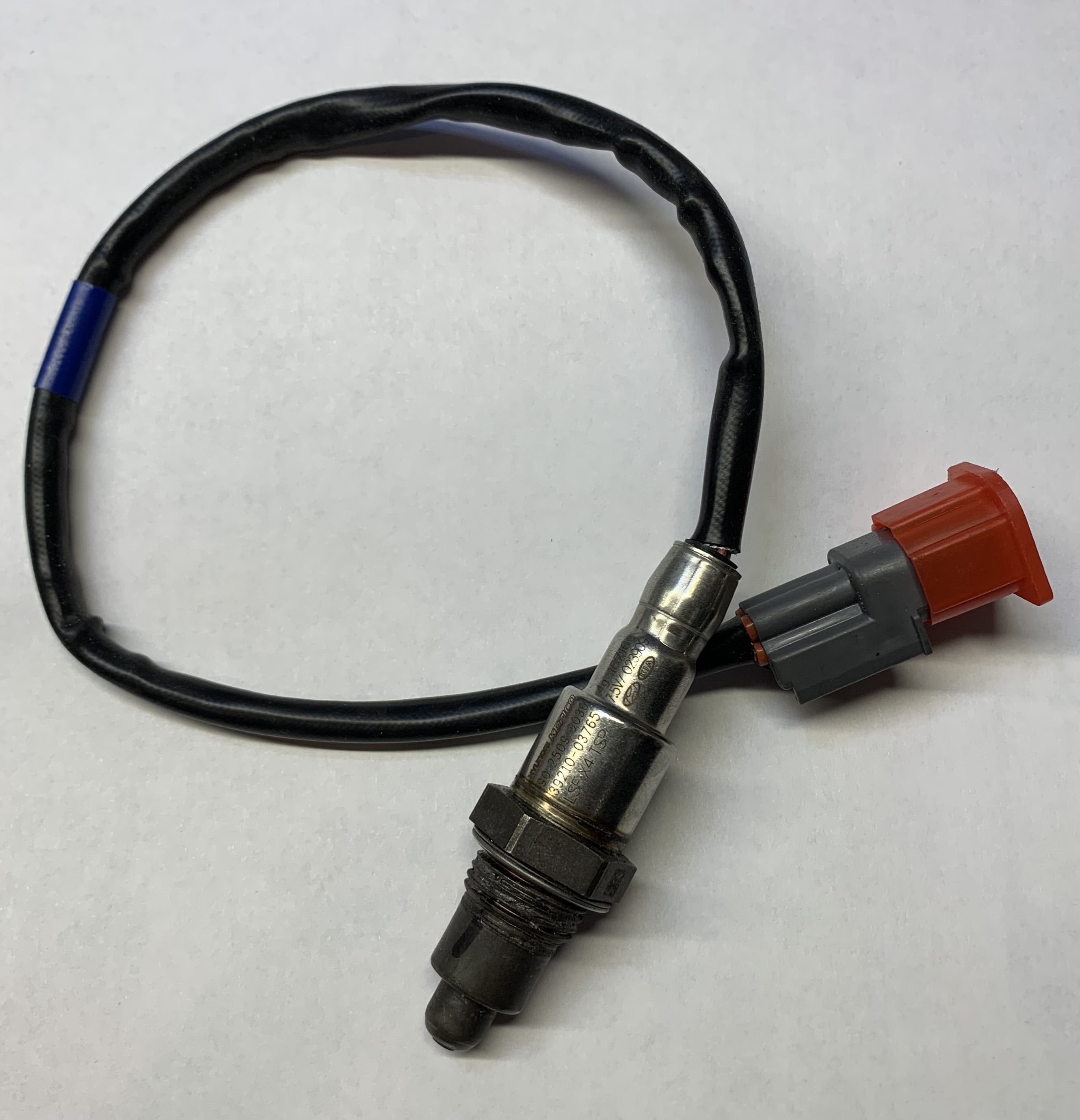 Ересек қызымен порно секс Қыз таяққа отырады