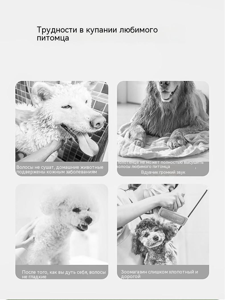 Фен для домашних животных/парикмахерские услуги для кошек и собак ...