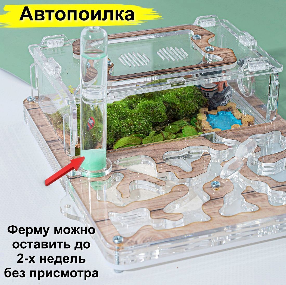 Муравьиная ферма с песком