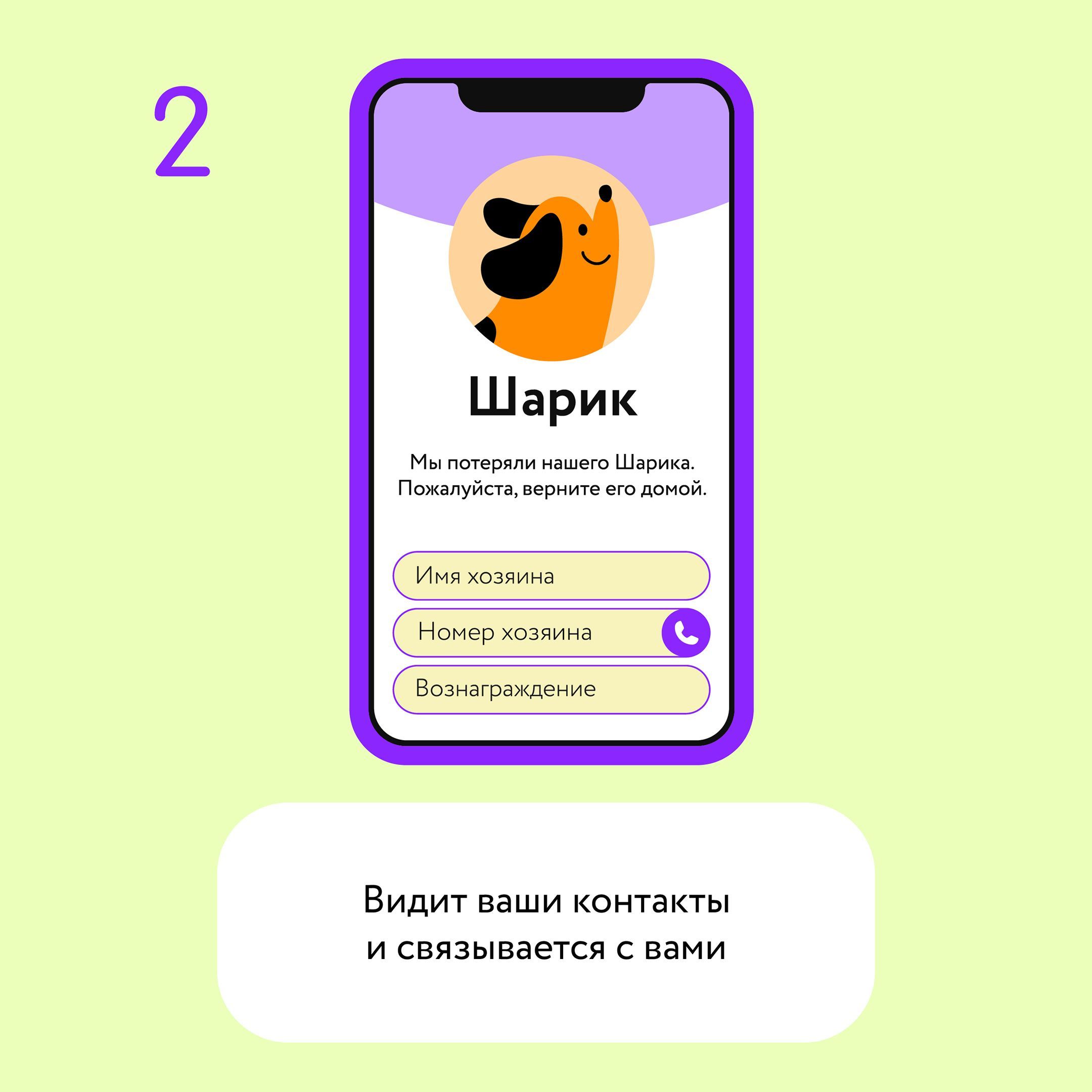 Цифровая визитка/ адресник PetCard для собак и кошек с QR кодом и NFC,  голубая. - купить с доставкой по выгодным ценам в интернет-магазине OZON  (1436291002)