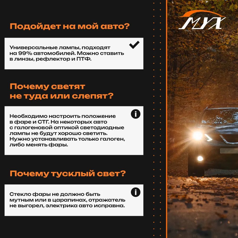 Лампа автомобильная MYX От автомобильной сети, 12 В, 2 шт. купить по низкой  цене с доставкой в интернет-магазине OZON (1079628828)