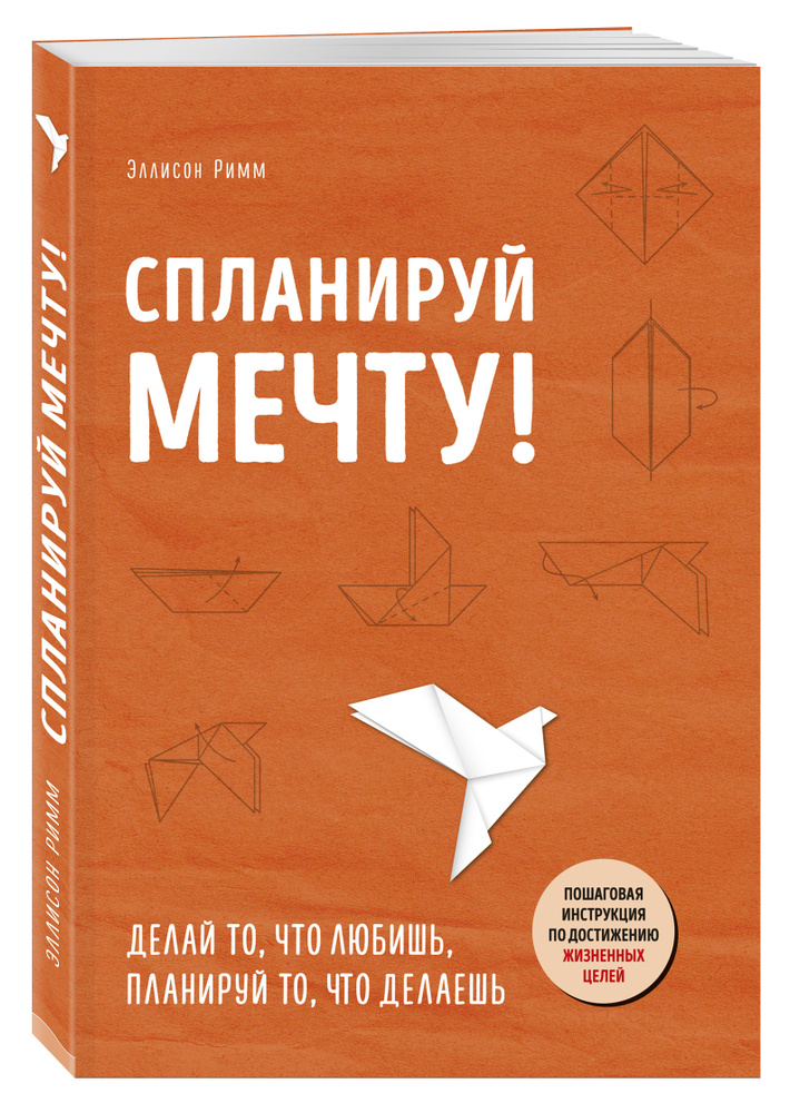 Спланируй мечту. Пошаговая инструкция по достижению жизненных целей | Римм Эллисон #1