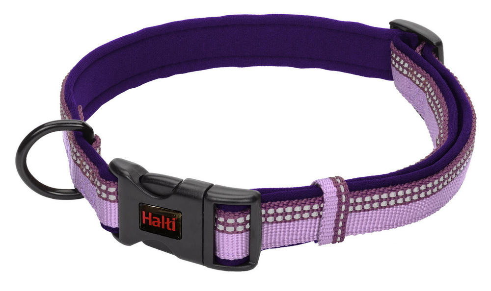 Blackdog halti best sale