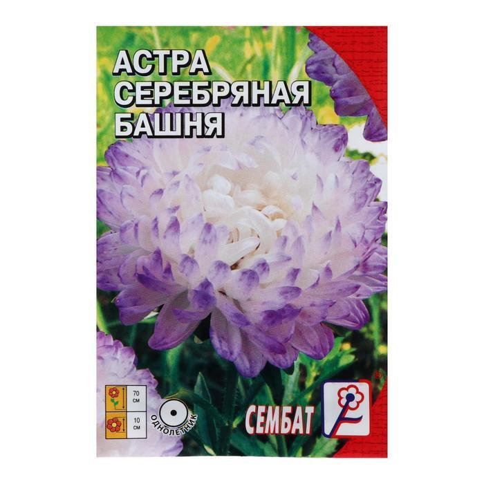 Семена цветов Астра пионовидная Серебрянная башня, 0.2 г 5 уп.  #1