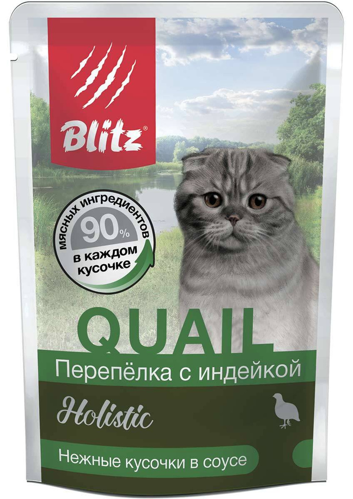 Холистик корма для кошек