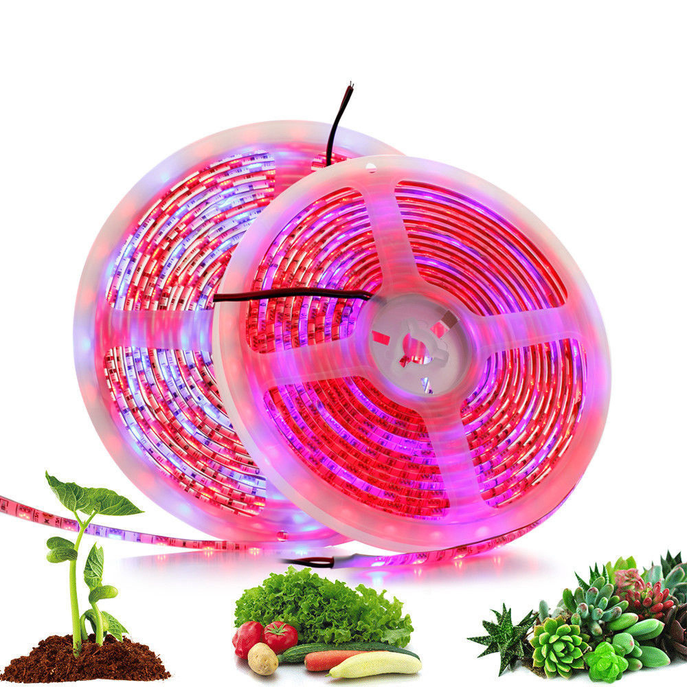5 М светодиодные фито-лампы Full Spectrum LED Strip Light 300 ...