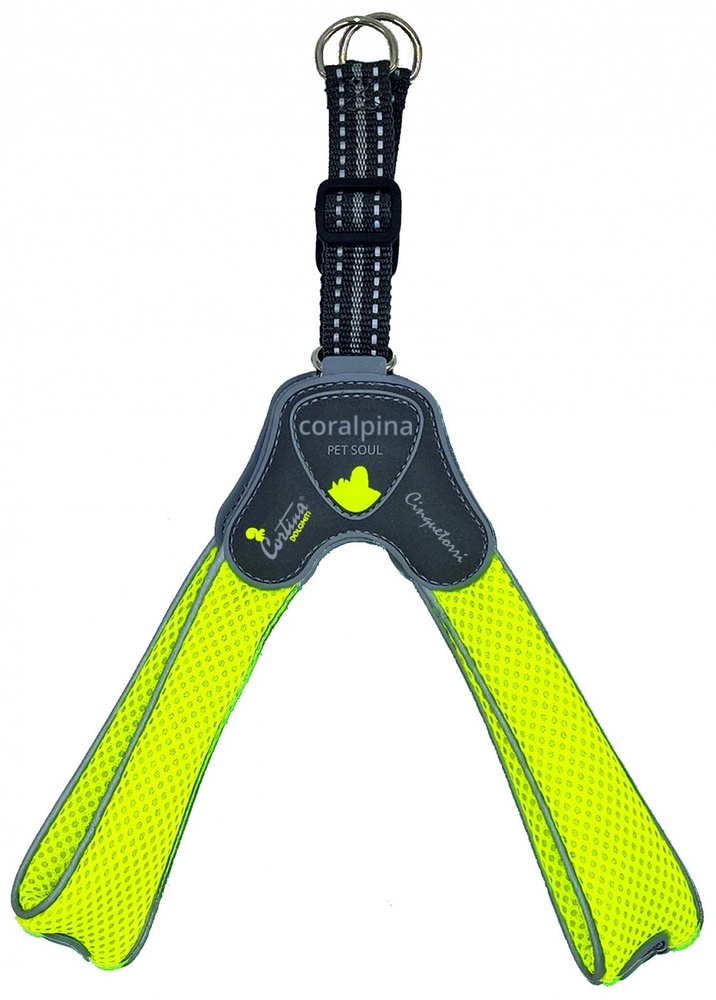 Cortina deals dog harness