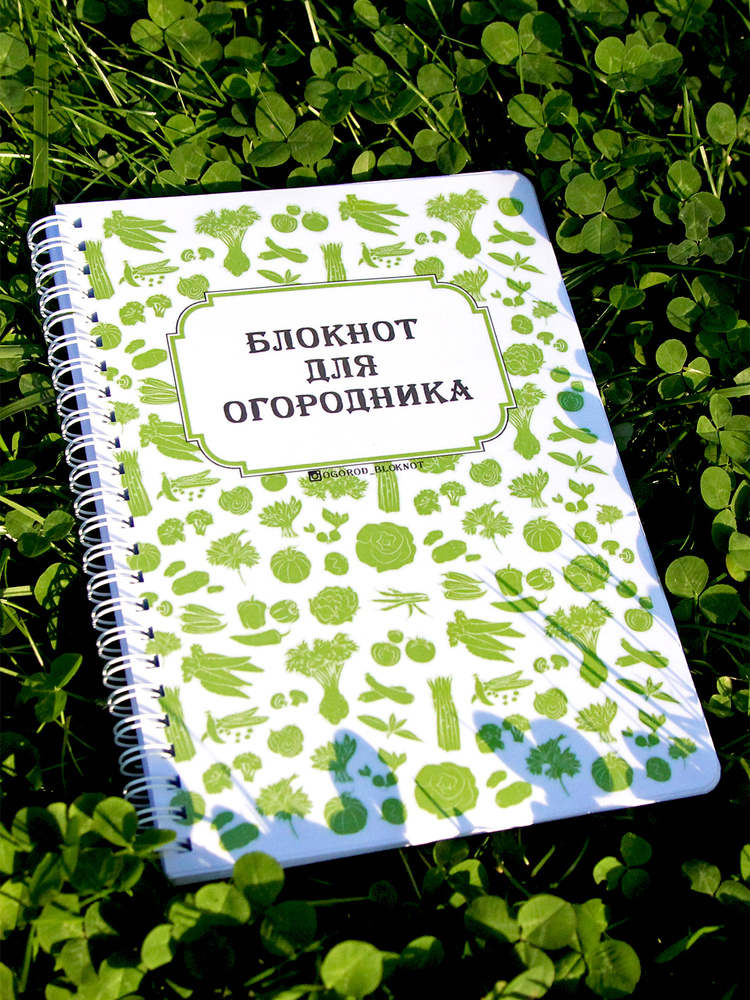 Ларчик Воспоминаний: mupbtibataysk.ruт на кольцах А6 формата в тканевой обложке.