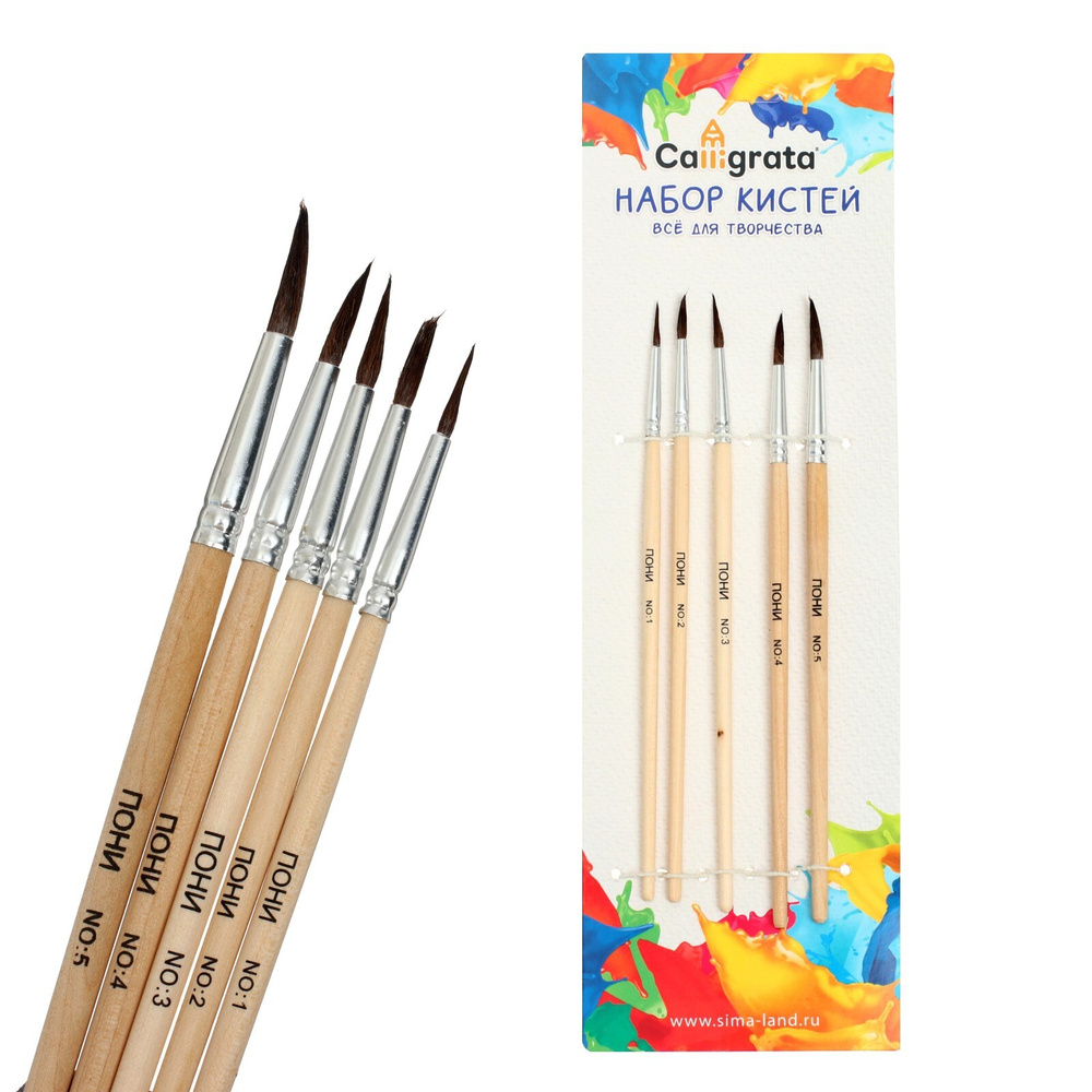 Calligrata Набор кистей для рисования - купить с доставкой по выгодным ...