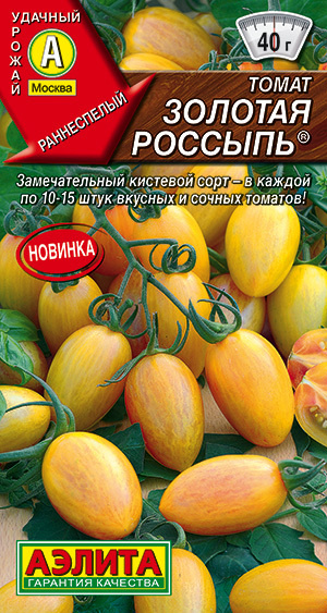 Томат Золотая россыпь раннеспелый салатный плоды оранжевые с малиновыми разводами  #1