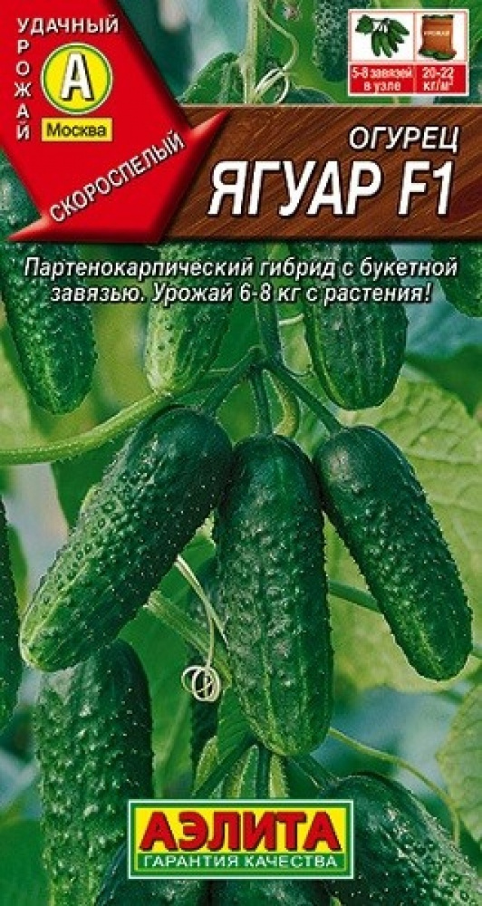 Семена Огурец Ягуар F1 (10 семян) - Аэлита #1