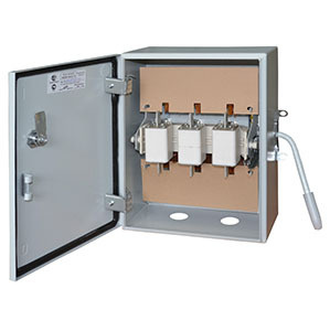 Рубильник 100А ЯБПВУ IP54 Узола со вставками - купить по выгодной цене ...