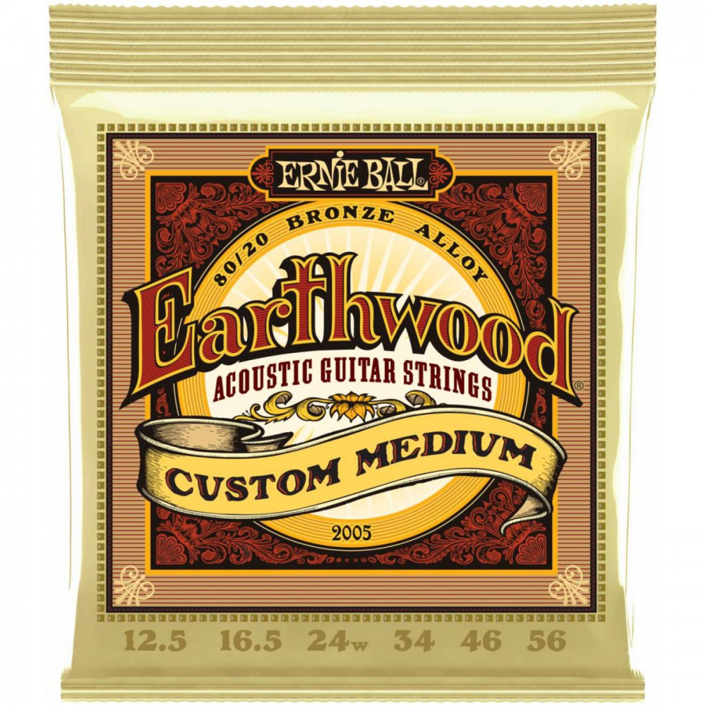 Струны для акустической гитары Ernie Ball Earthwood Bronze 80/20 12.5-56 Custom Medium 2005  #1