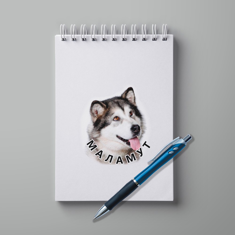 #huskydom Блокнот A5, листов: 30 #1