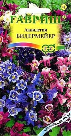 Аквилегия Бидермейер (Гавриш) #1