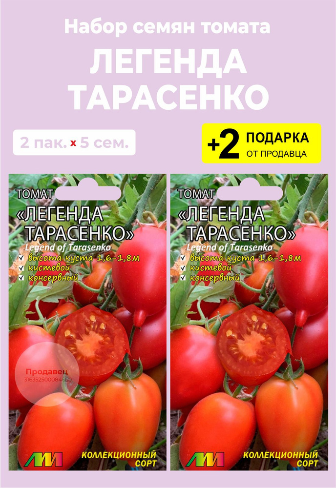 Помидоры тарасенко описание сорта фото. Помидоры Легенда Тарасенко. Помидоры сорт Легенда Тарасенко. Томат Легенда Тарасенко характеристика. Тарасенко томат описание.