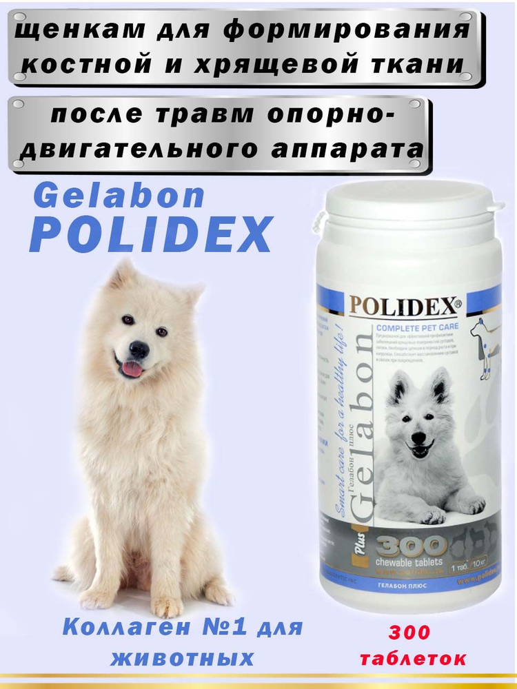 Polidex Полидэкс гелабон плюс для собак 300 таблеток - купить с доставкой  по выгодным ценам в интернет-магазине OZON (835774056)
