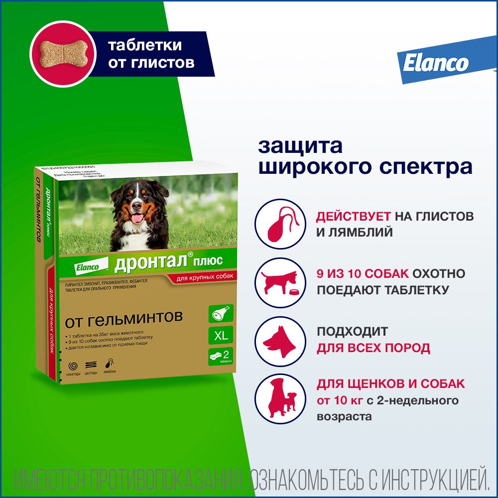 Дронтал плюс XL таблетки со вкусом мяса от гельминтов для собак крупных  пород, 2 штуки - купить с доставкой по выгодным ценам в интернет-магазине  OZON (1081127951)