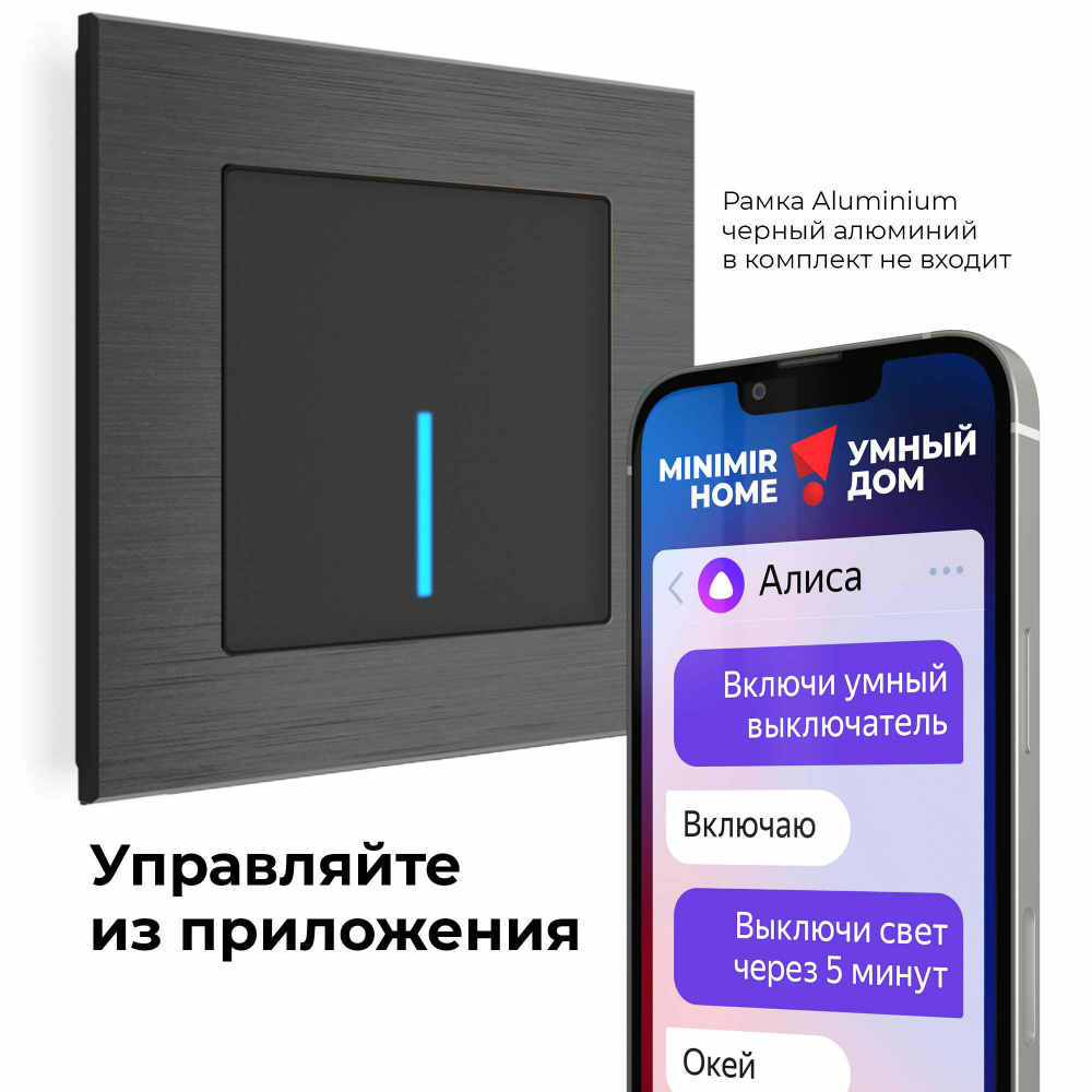 Умный сенсорный выключатель встраиваемый одноклавишный с управлением из  приложения Werkel W4510608 черный