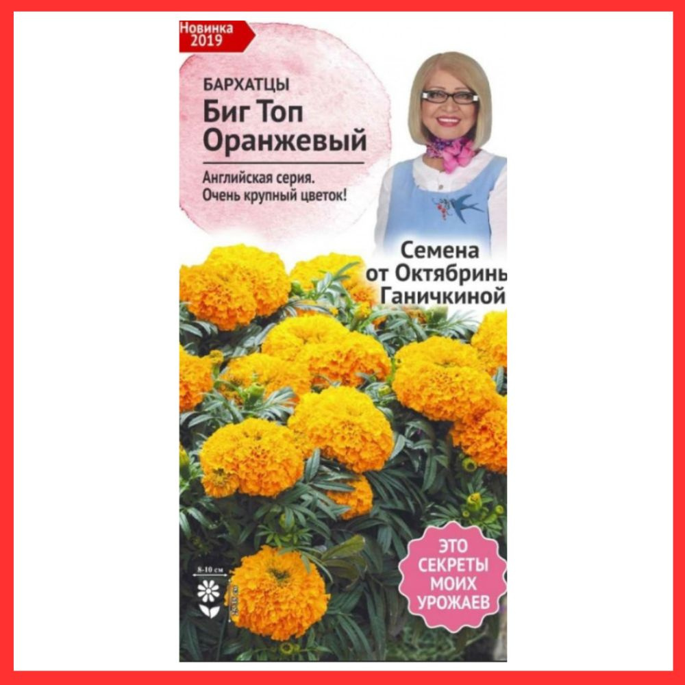 Семена однолетних цветов Бархатцы "Биг Топ Оранжевый" для сада и огорода / В грунт и клумбу / Для дачи #1