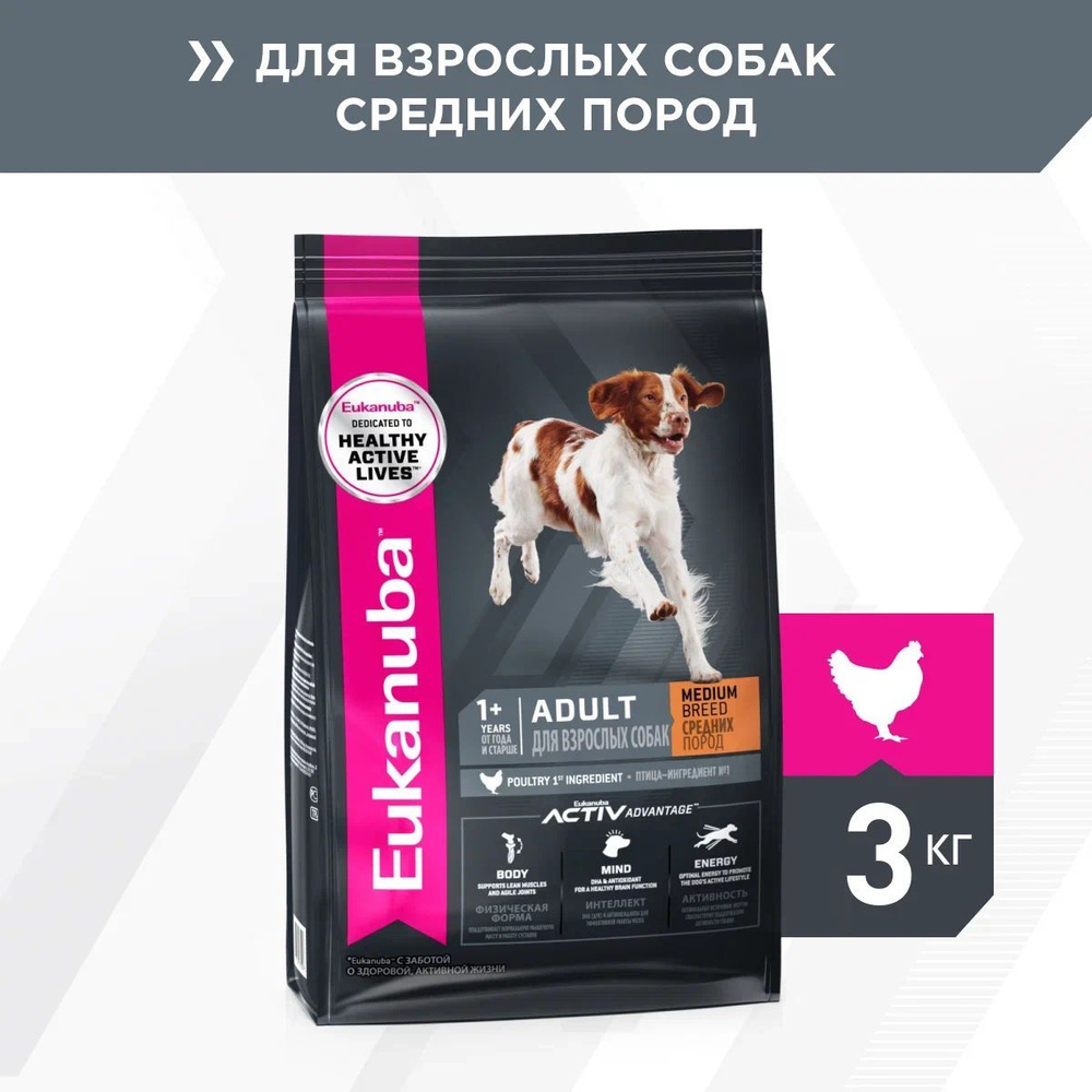 Сухой корм для собак средних пород Eukanuba Adult Medium Breed 1+ years, с  курицей, 3 кг - купить с доставкой по выгодным ценам в интернет-магазине  OZON (34821178)